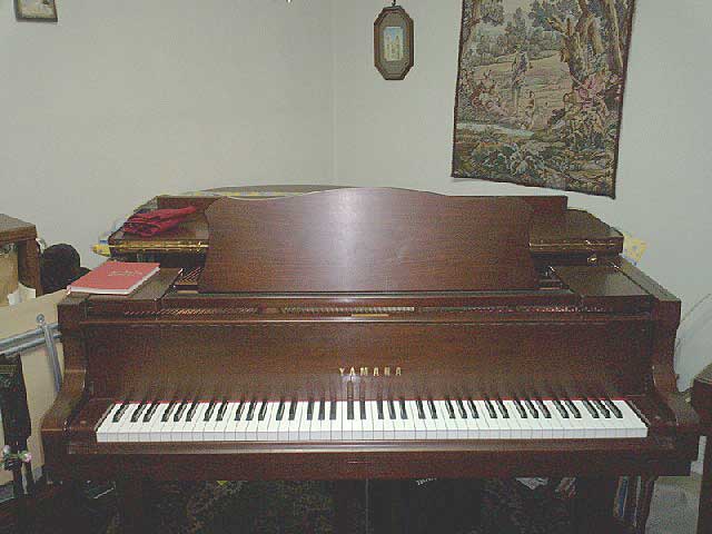P1000020