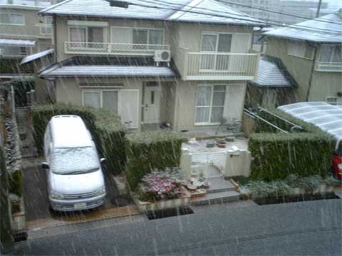 Det snöar!